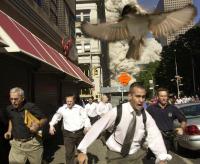 Bird Detection project thumbnail