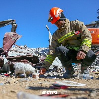 hardhat-dataset-turkey-earthquake project thumbnail