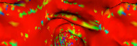 p_val project thumbnail