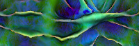 merged_HU_val project thumbnail