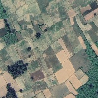Detection Instance Segmentation Model by x