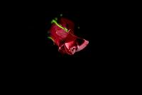 rose and weed project thumbnail