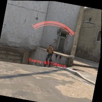 Dataset Image