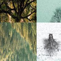 TREE FALL DETECTION project thumbnail