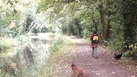 stroll project thumbnail