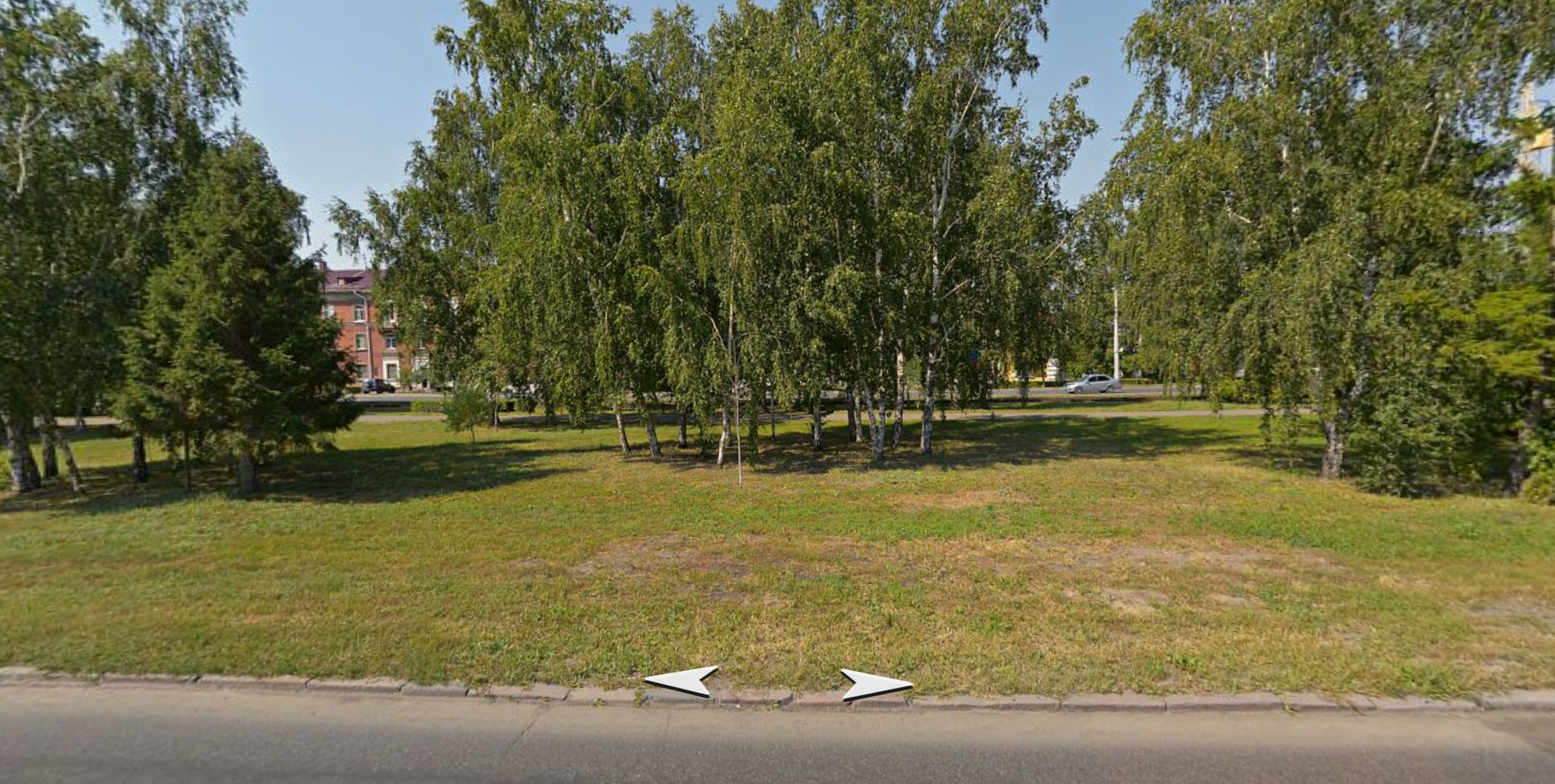 Trunk and bush Object Detection Dataset by ra9mgk@yandex.ru