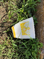 taco project thumbnail