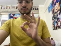 Arabic gesture recognition (v1) project thumbnail