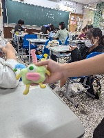 Dataset Image