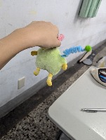 Dataset Image