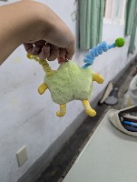 Dataset Image