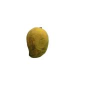 mango segmentation project thumbnail