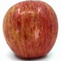 Dataset Image