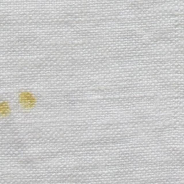 Linen Stain Detect Object Detection Dataset by AIML