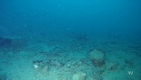 object_detection_sea-debris project thumbnail