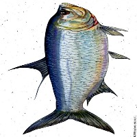fish disease detection project thumbnail