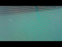 ag project thumbnail
