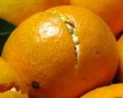 mandarine datasets project thumbnail