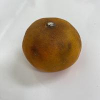 mandarine datasets 3 project thumbnail
