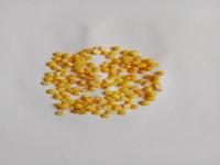 Pulses Detection project thumbnail