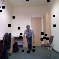 Dataset Image