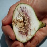 fig_detection project thumbnail