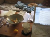 dog_cat_bird project thumbnail