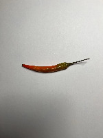 Pepper Detection project thumbnail