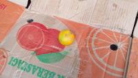 Buah Jeruk project thumbnail