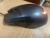 Dataset Image