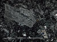 Microscopy project thumbnail