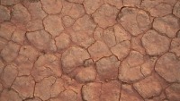 SoilTypes and Wetness project thumbnail