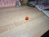 mars_classifier project thumbnail