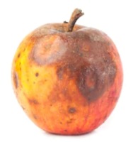 fruits_fresh project thumbnail