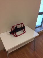 Dataset Image