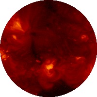 Dataset Image