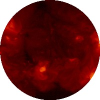 Dataset Image