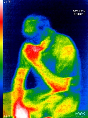 thermal image Object Detection Model by object detection