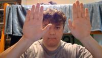 Hand Gesture Controls project thumbnail