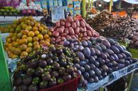 fruit project thumbnail