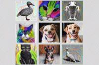 sifeai project thumbnail