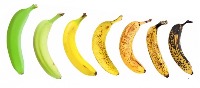 banana project thumbnail