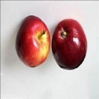 Apple Dataset project thumbnail