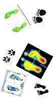 person_detect project thumbnail