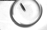 5A_6A project thumbnail