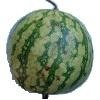 fruits prediction project thumbnail