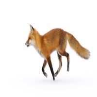 Wildlife Detection project thumbnail