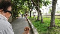 park_Surveillance  project thumbnail