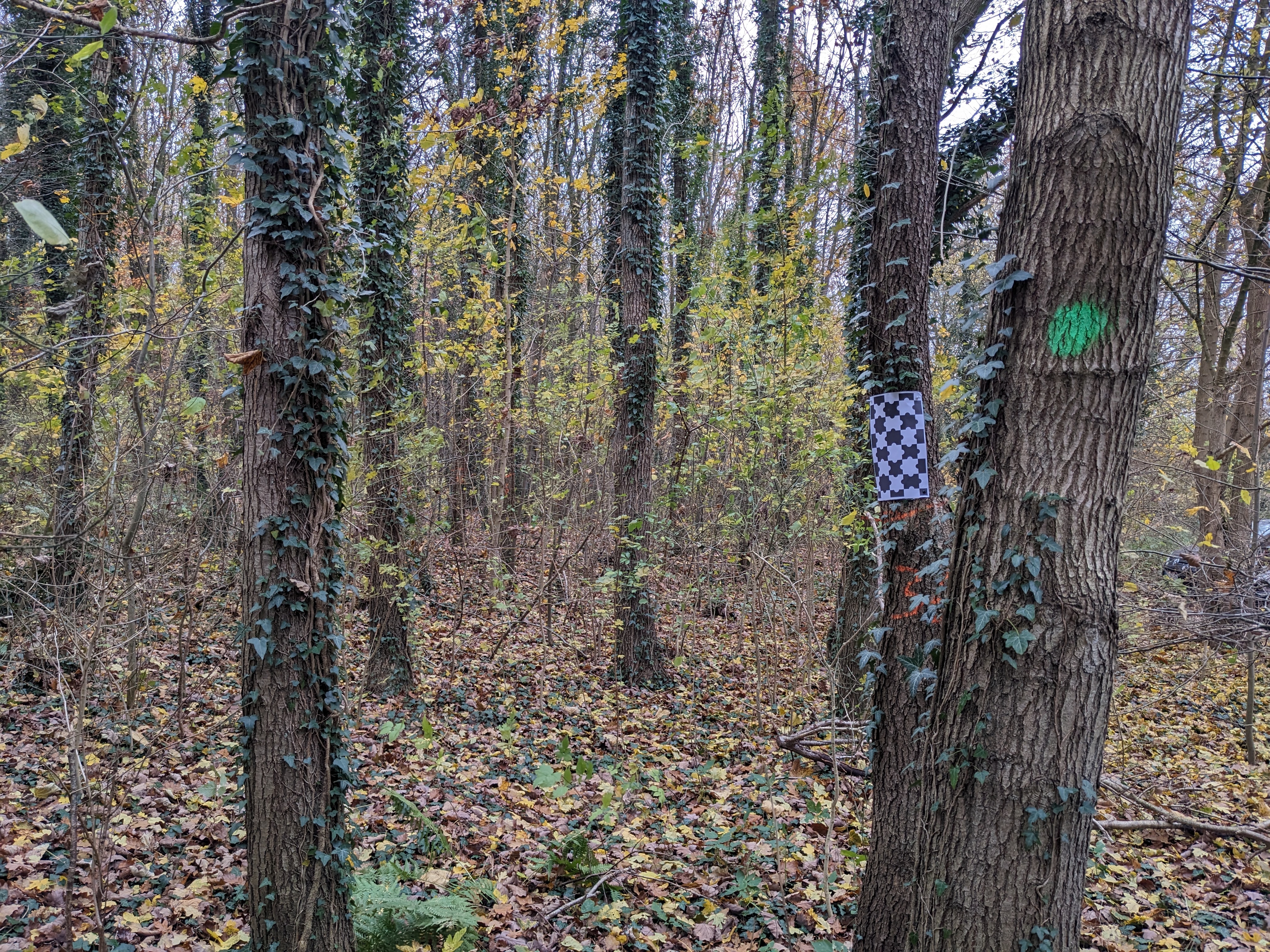 checkerboard Object Detection Model by checkerboard