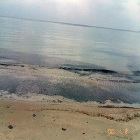oil_spill_seg project thumbnail